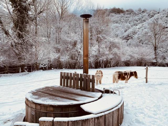 Chalet Le Fario, Bain Nordique Frechet-Aure Esterno foto